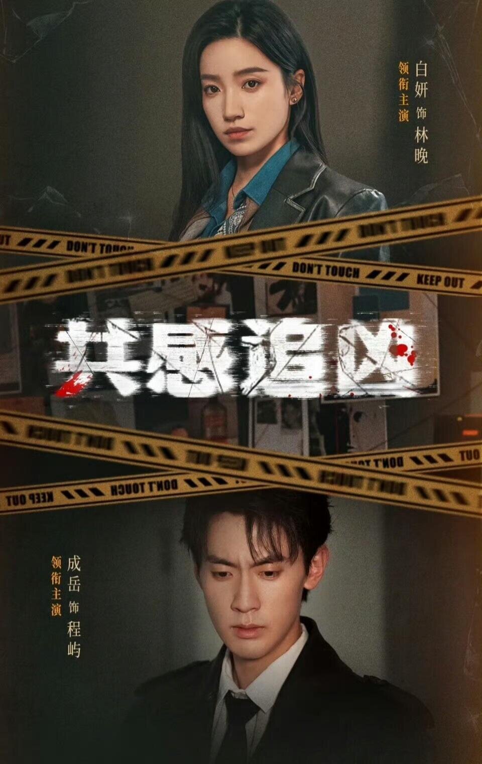 共感追凶(全集)