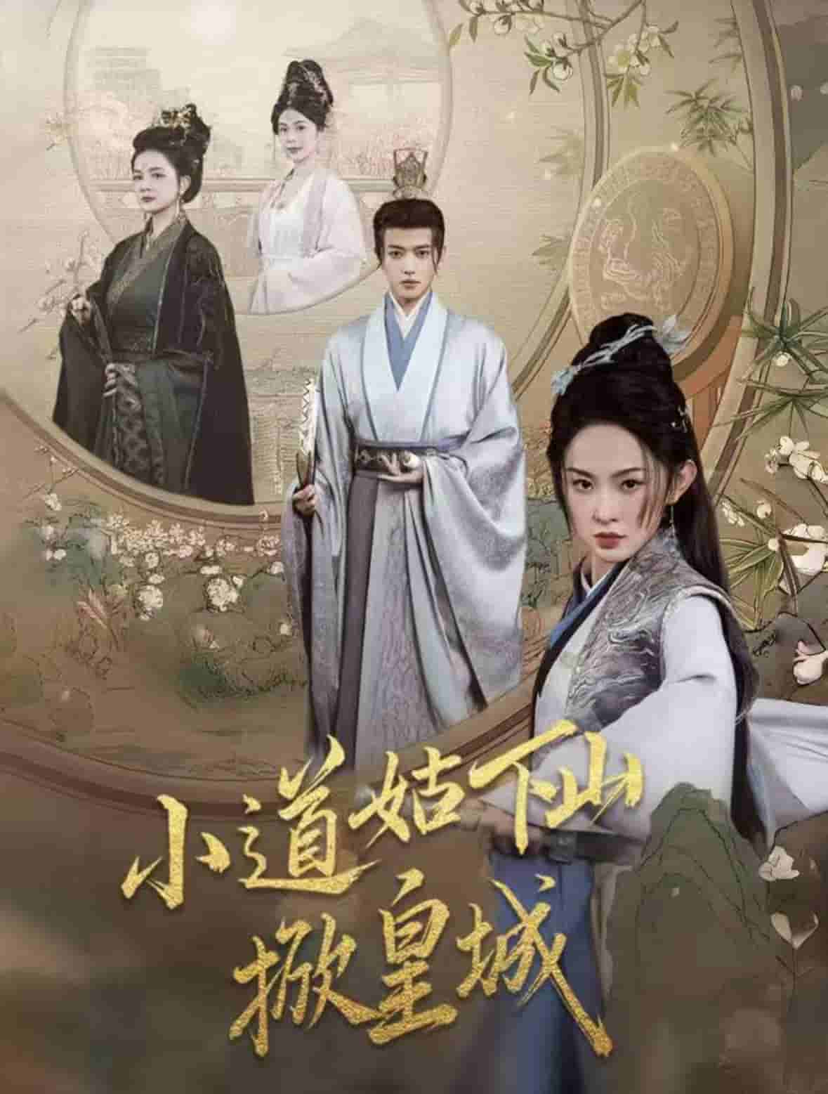 小道姑下山掀皇城(全集)